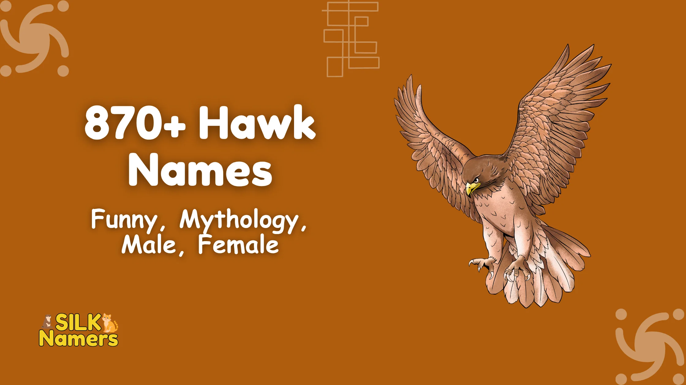 Hawk Names