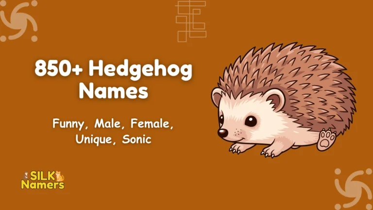 Hedgehog Names