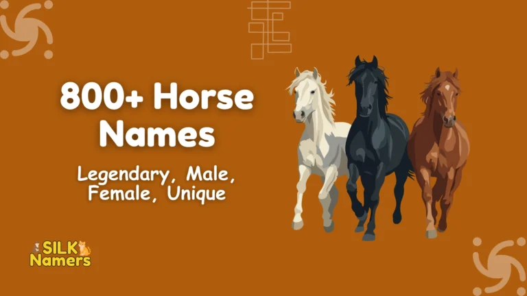 Horse Names