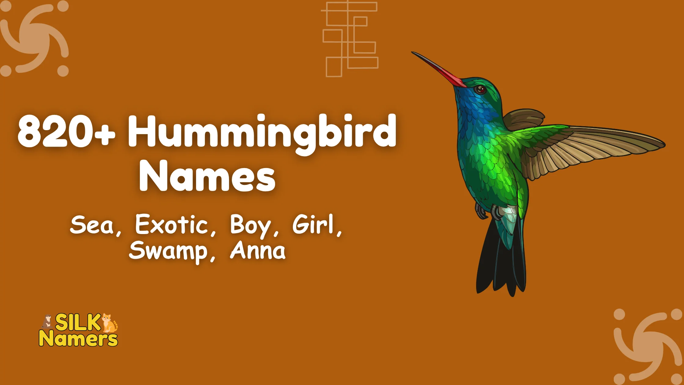 Hummingbird Names