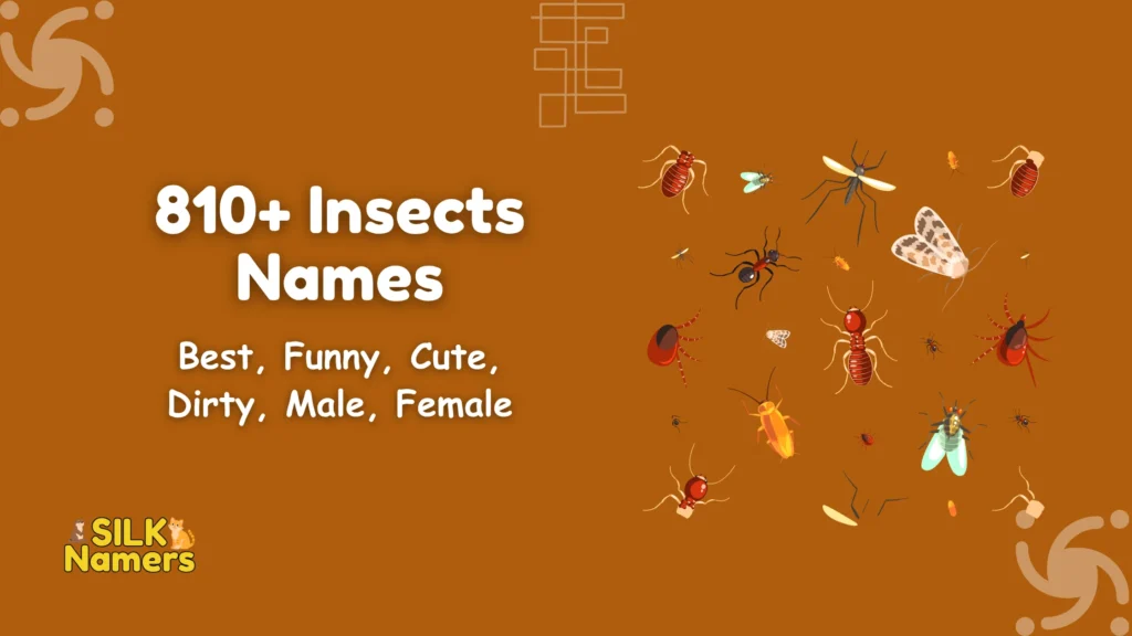 Insects Names