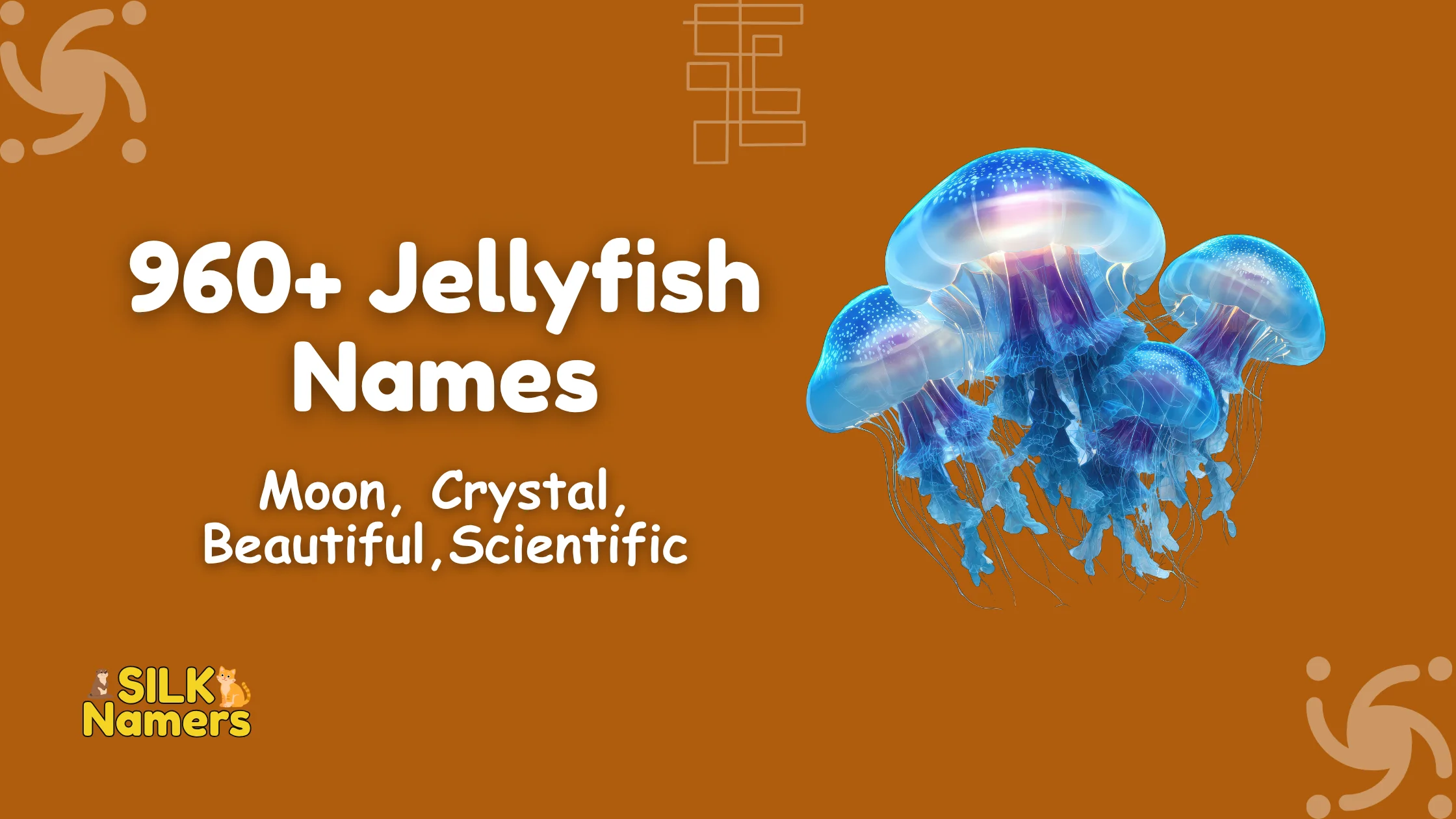 Jellyfish Names