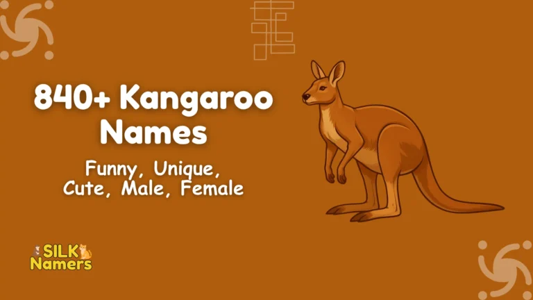 Kangaroo Names