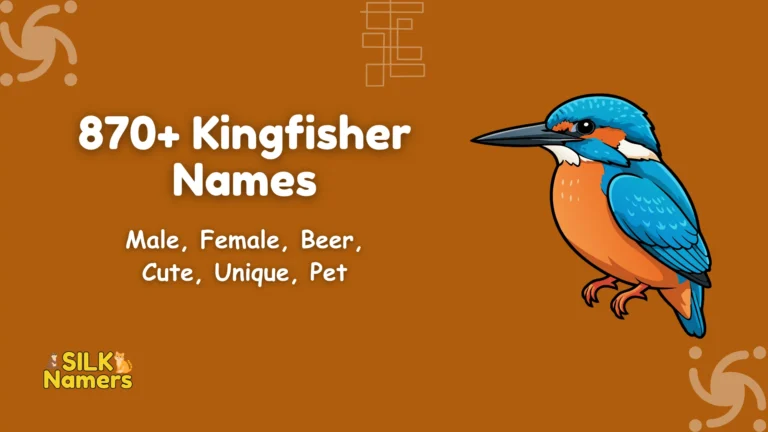 Kingfisher Names