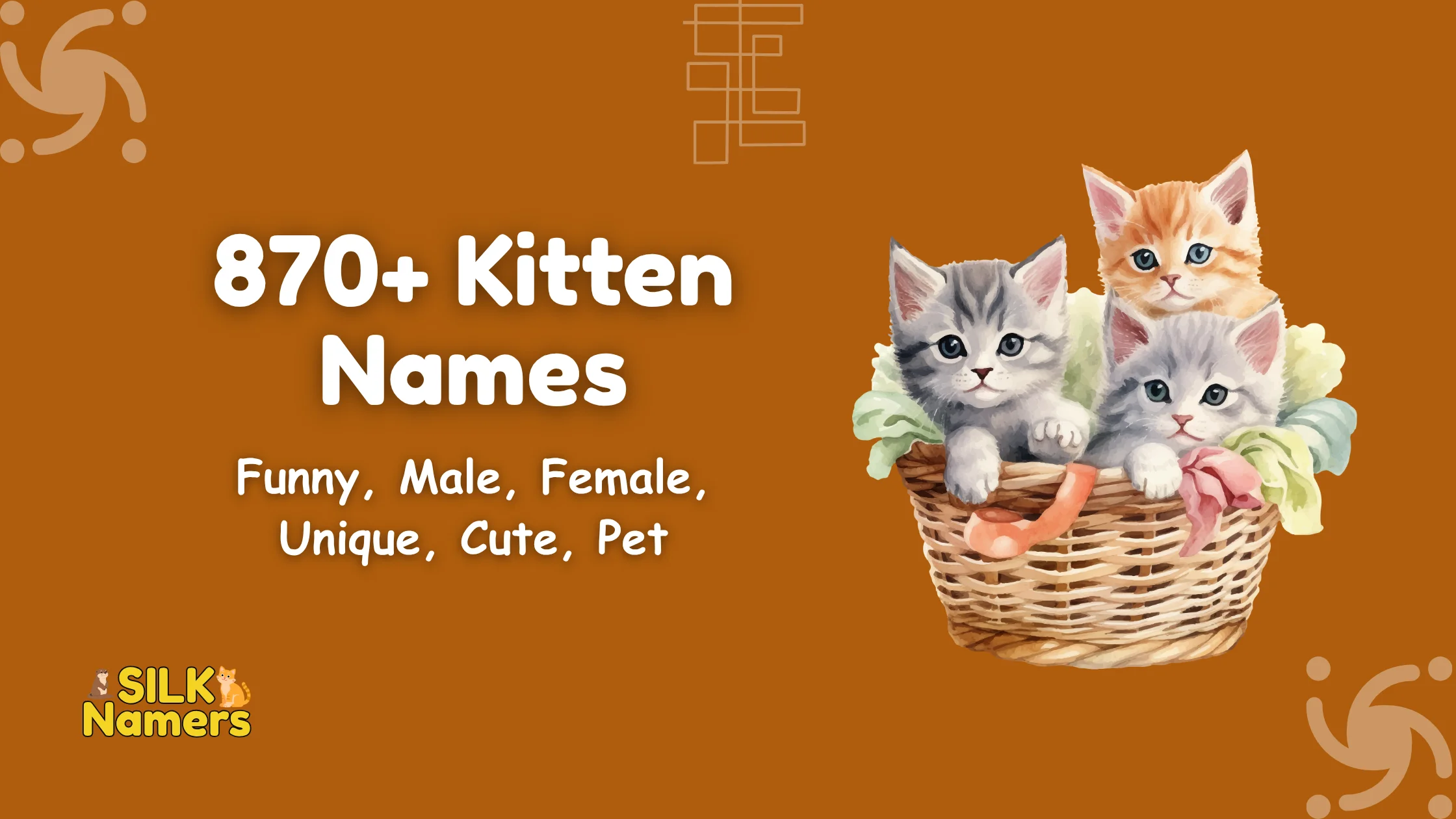 Kitten Names