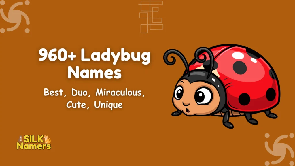 Ladybug Names