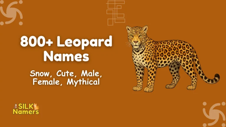Leopard Names