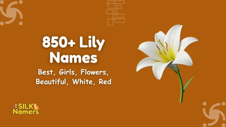 Lily Names
