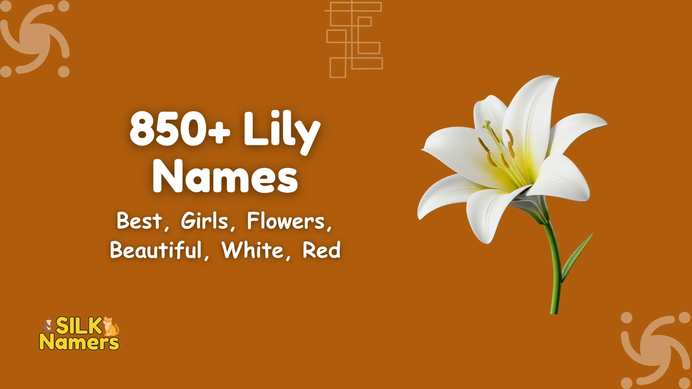 Lily Names