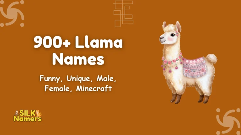Llama Names