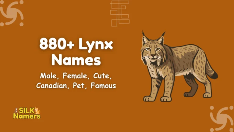 Lynx Names