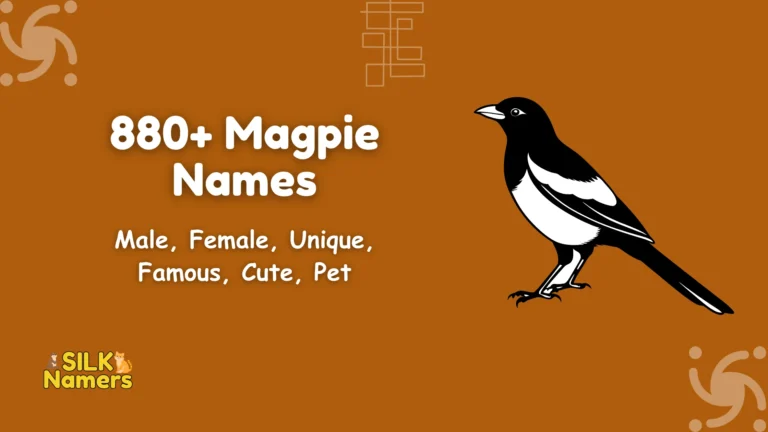 Magpie Names