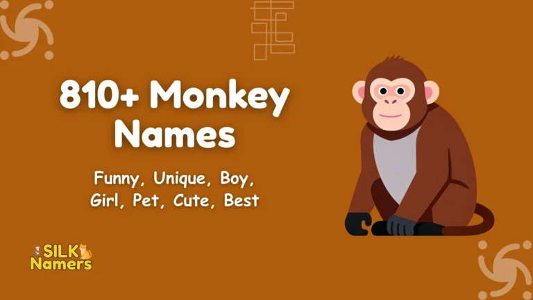 Monkey Names
