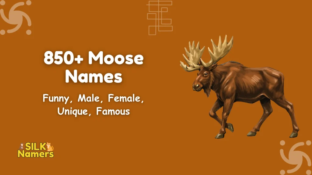 Moose Names