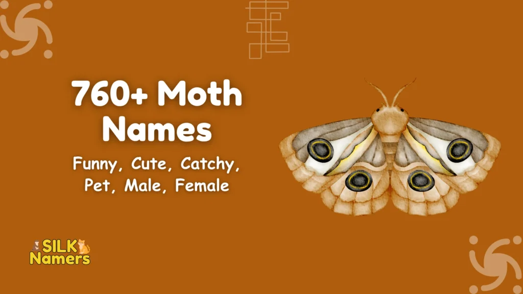 Moth Names