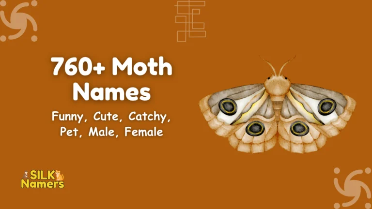 Moth Names