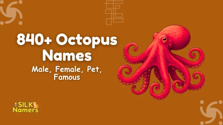 Octopus Names