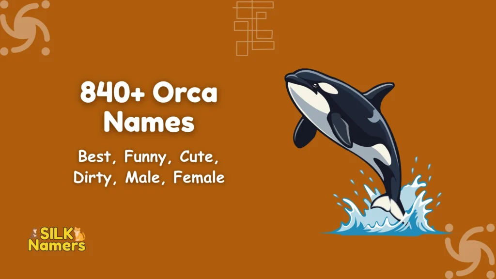 Orca Names