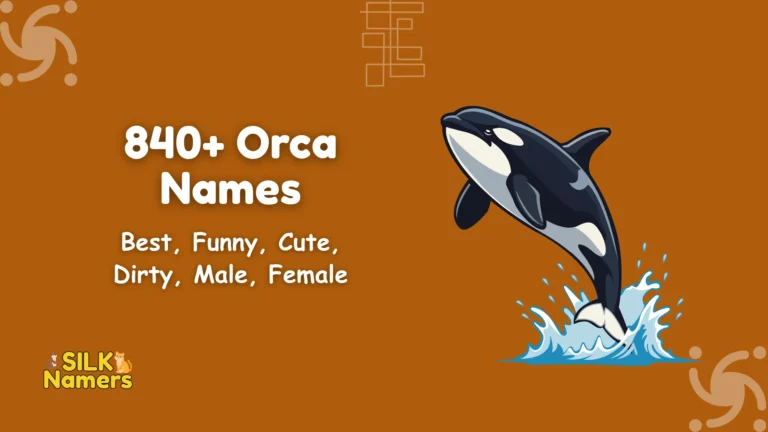 Orca Names