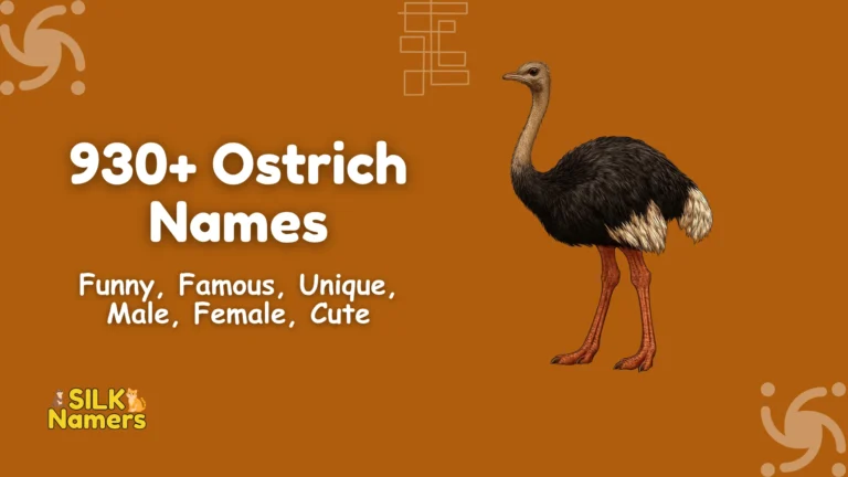 Ostrich Names