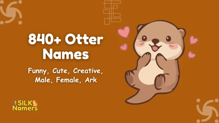 Otter Names