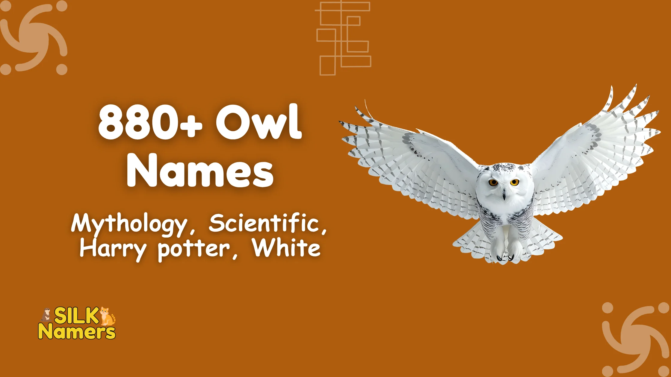 Owl Names