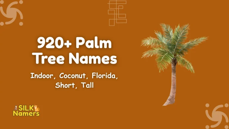 Palm Tree Names