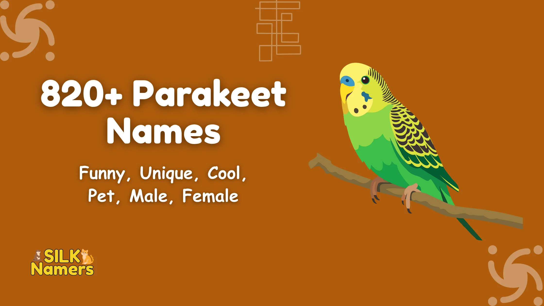 Parakeet Names