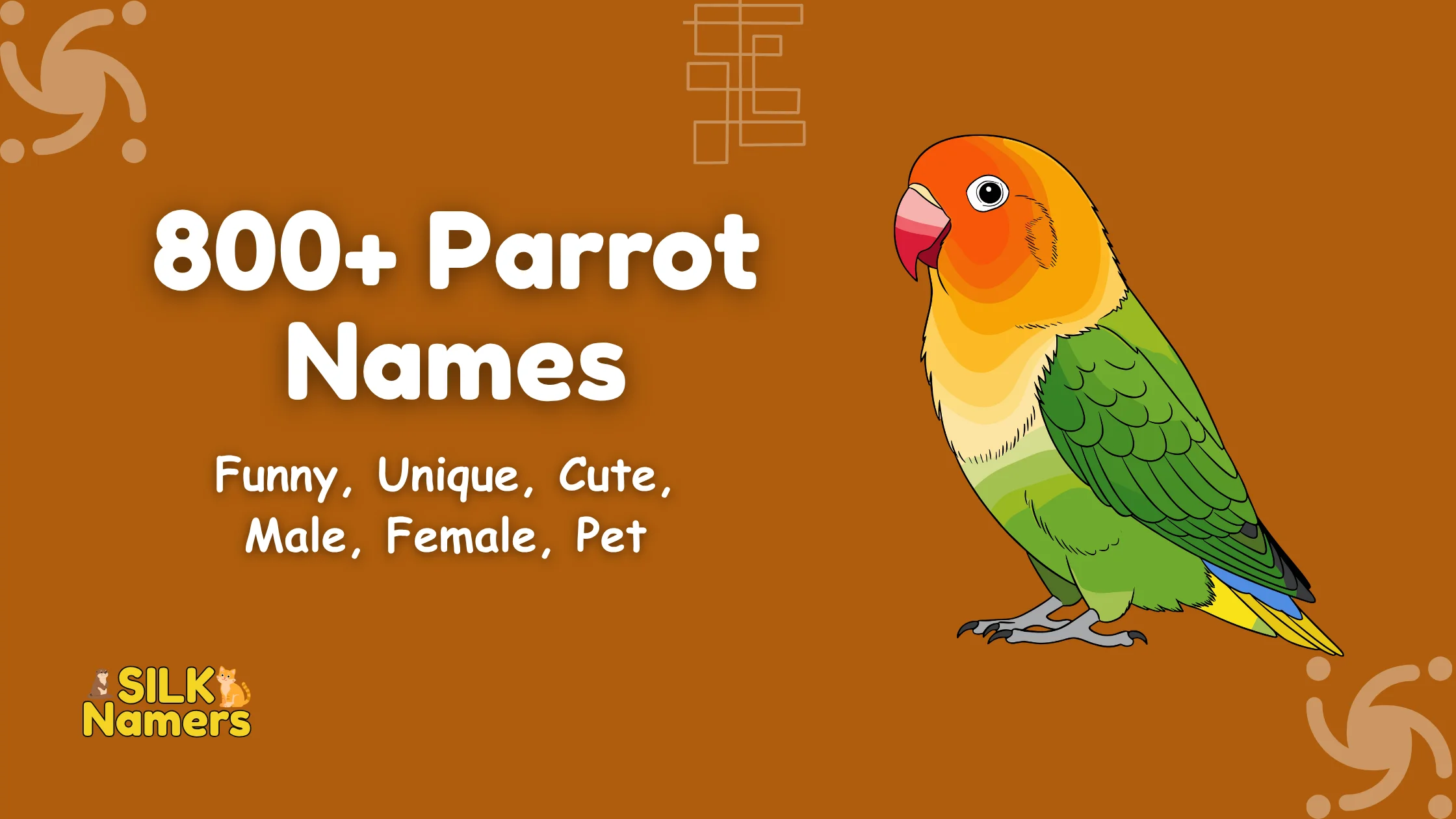 Parrot Names