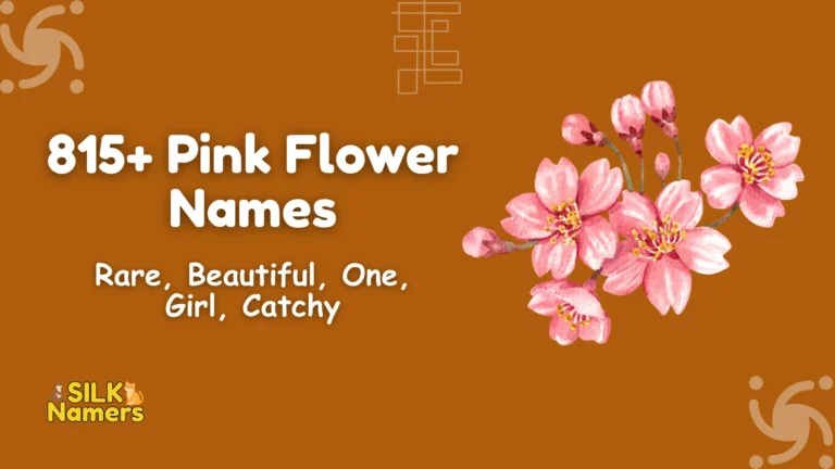 Pink Flower Names