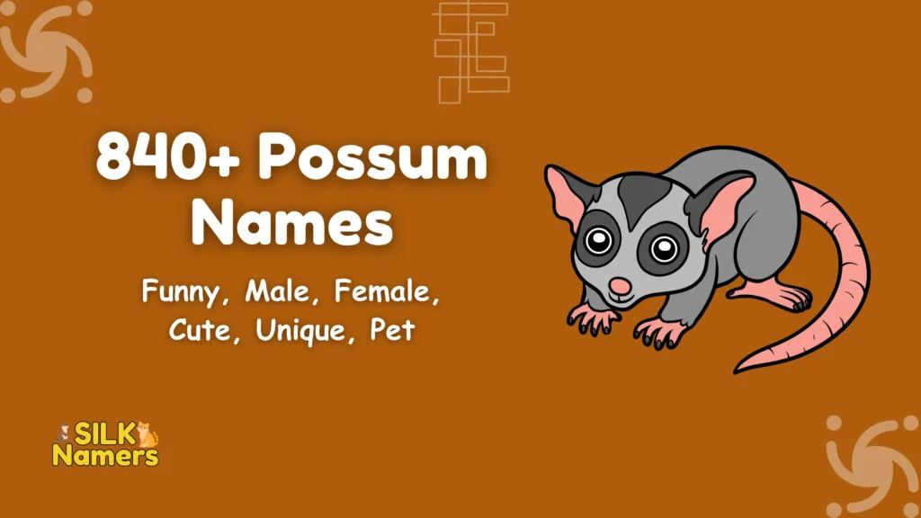 Possum Names