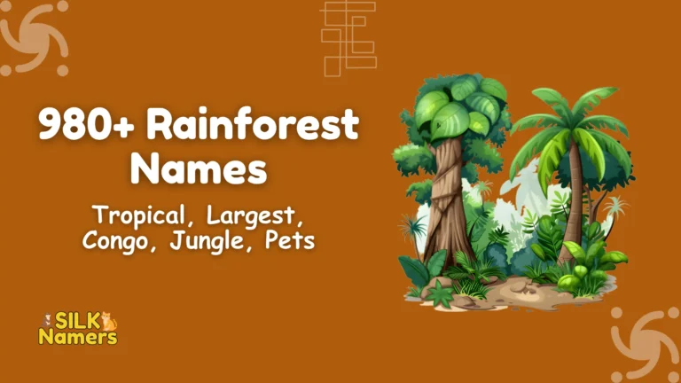 Rainforest Names