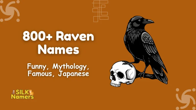 Raven Names