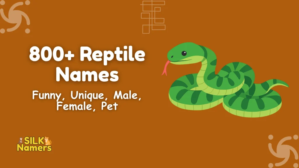 Reptile Names