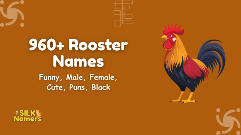 Rooster Names