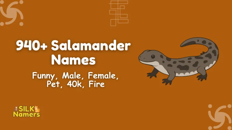 Salamander Names