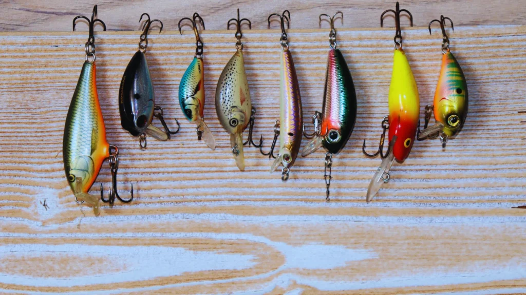 Saltwater Bait Fish Names