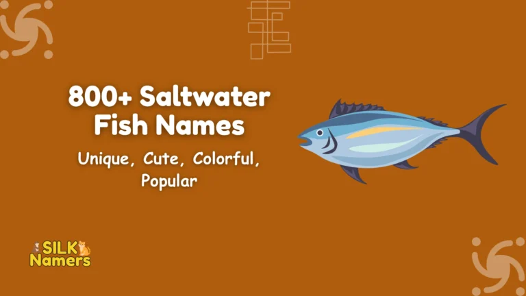Saltwater Fish Names