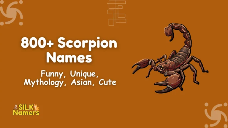 Scorpion Names