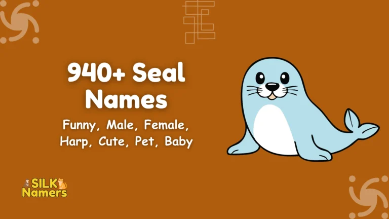Seal Names
