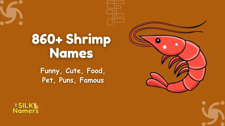Shrimp Names