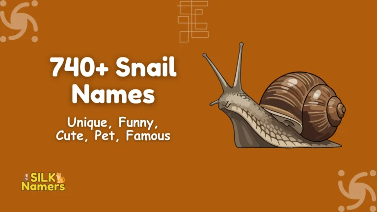 Snail Names