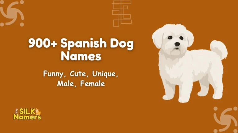 Spanish Dog Names