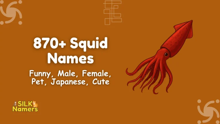 Squid Names