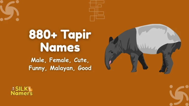 Tapir Names