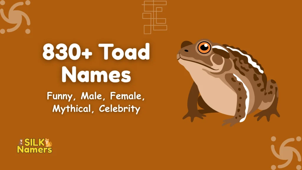 Toad Names