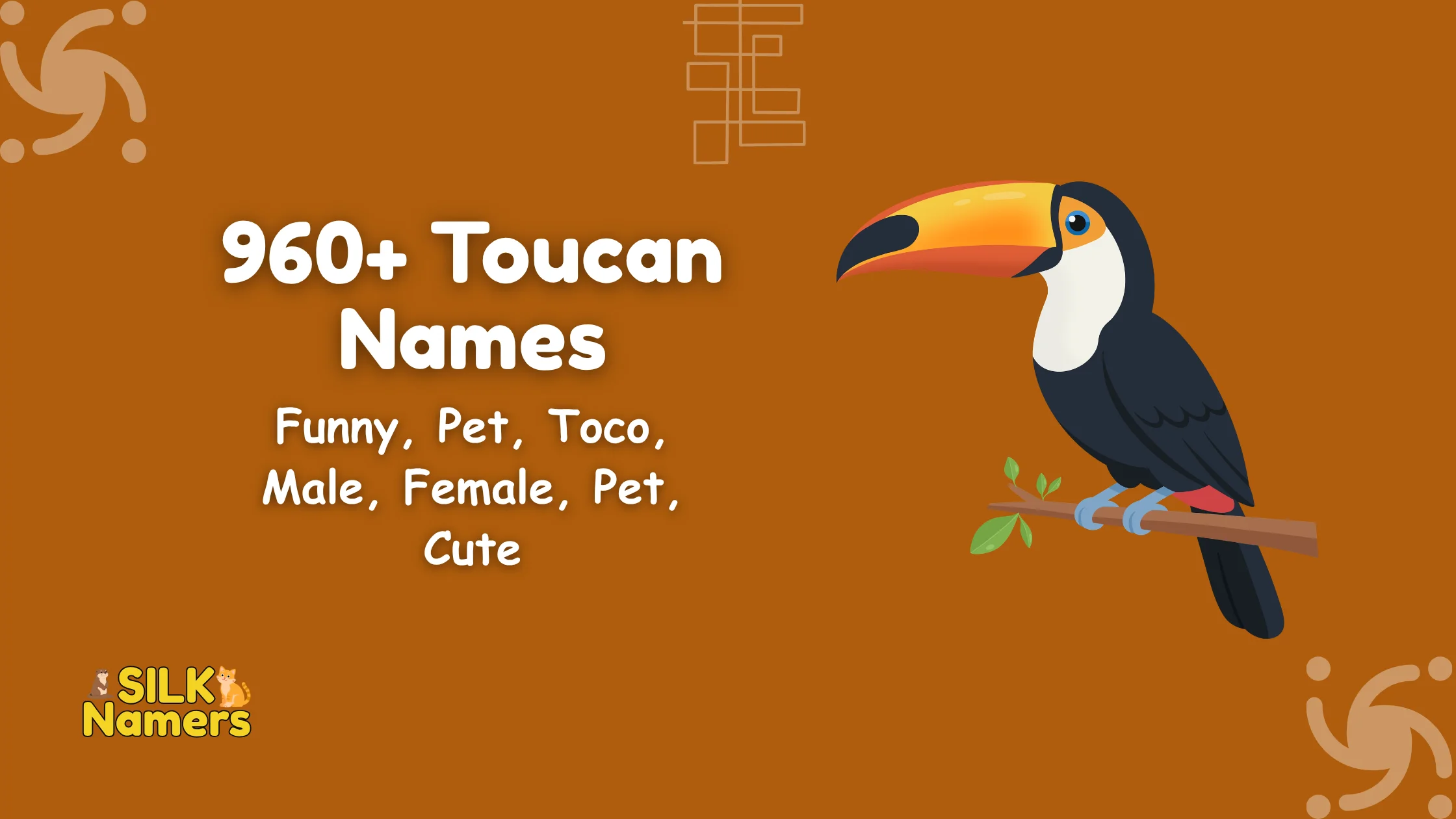 Toucan Names