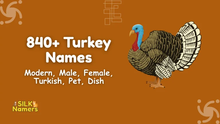 Turkey Names