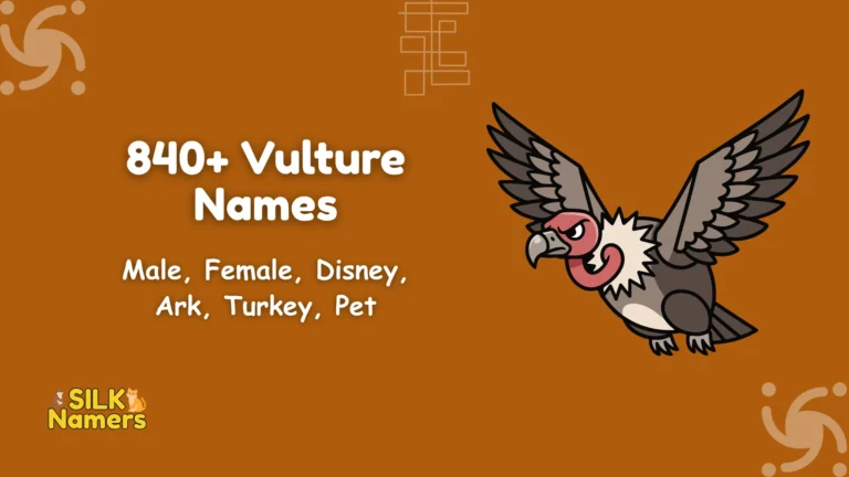 Vulture Names