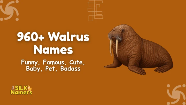 Walrus Names